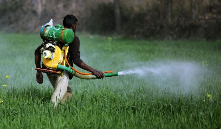 Pesticides: Types and Impact