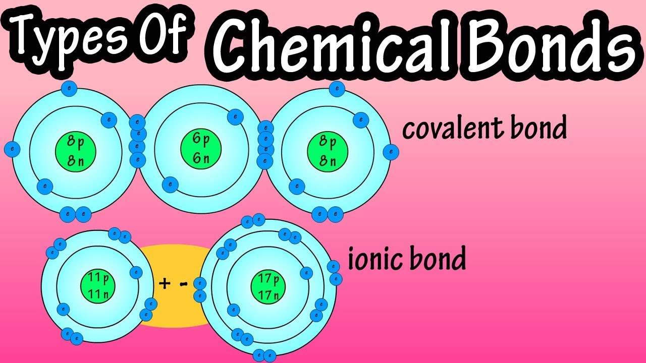 Types of Chemical Bonds Explained