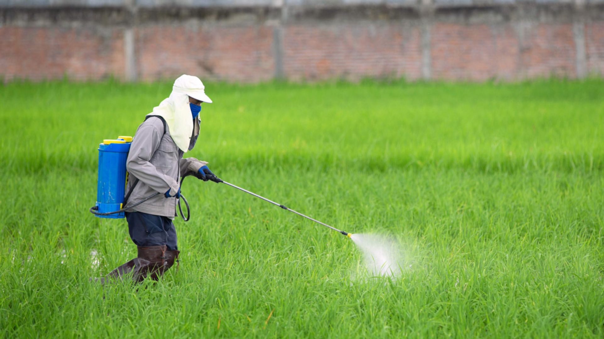 Using Agricultural Chemicals Effectively