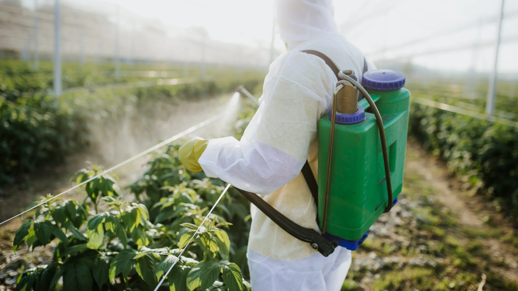 Ways of Using Chemicals in Pest Control post thumbnail image