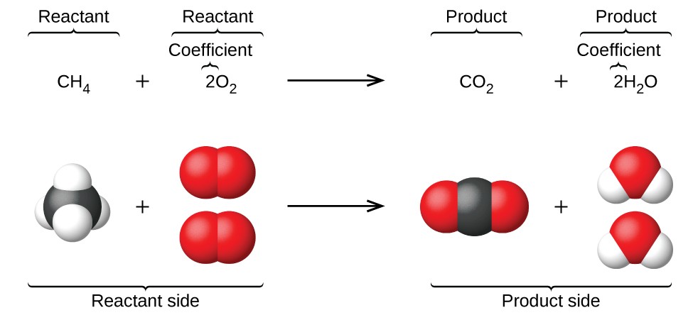 Writing and Balancing Chemical Equations